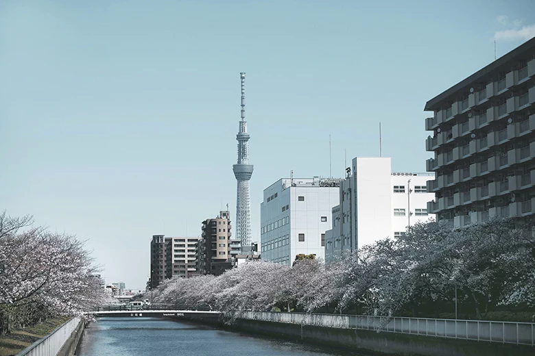 Vue de la Tokyo Skytree depuis le quartier d'Asakusa