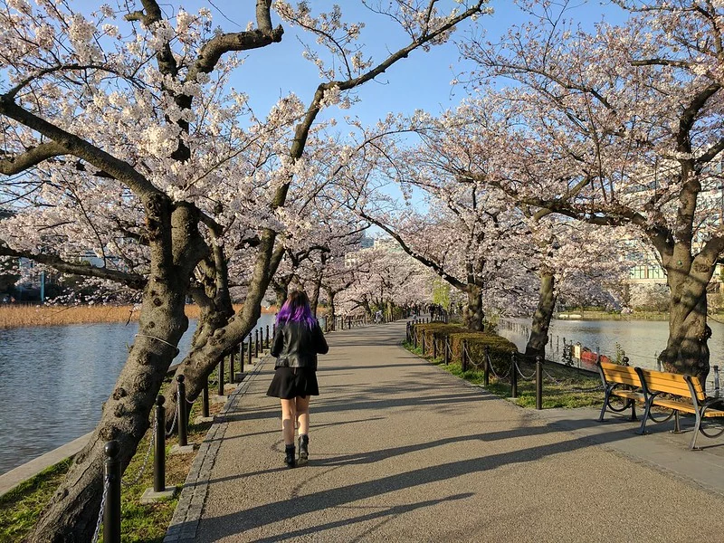 le parc de Ueno