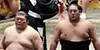 Sumo la lutte japonaise